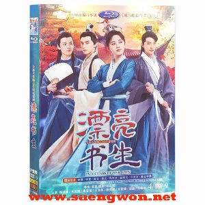 표량서생 漂亮书生DVD (1-36회) 국정의 쥐징이 송위룡